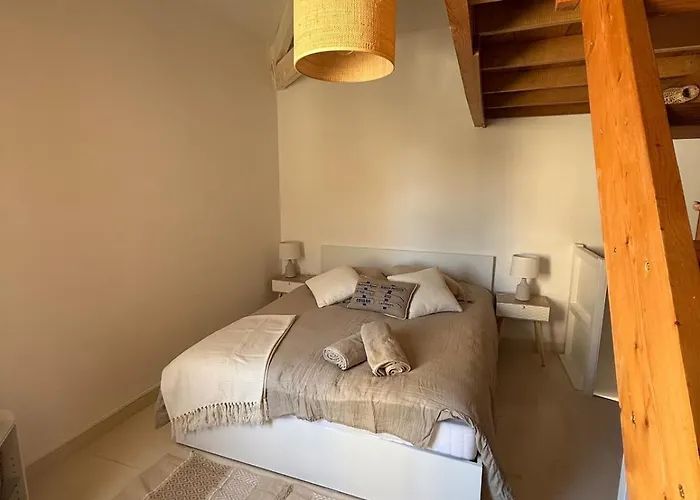 Maison De Village Au Coeur Du Marais Poitevin